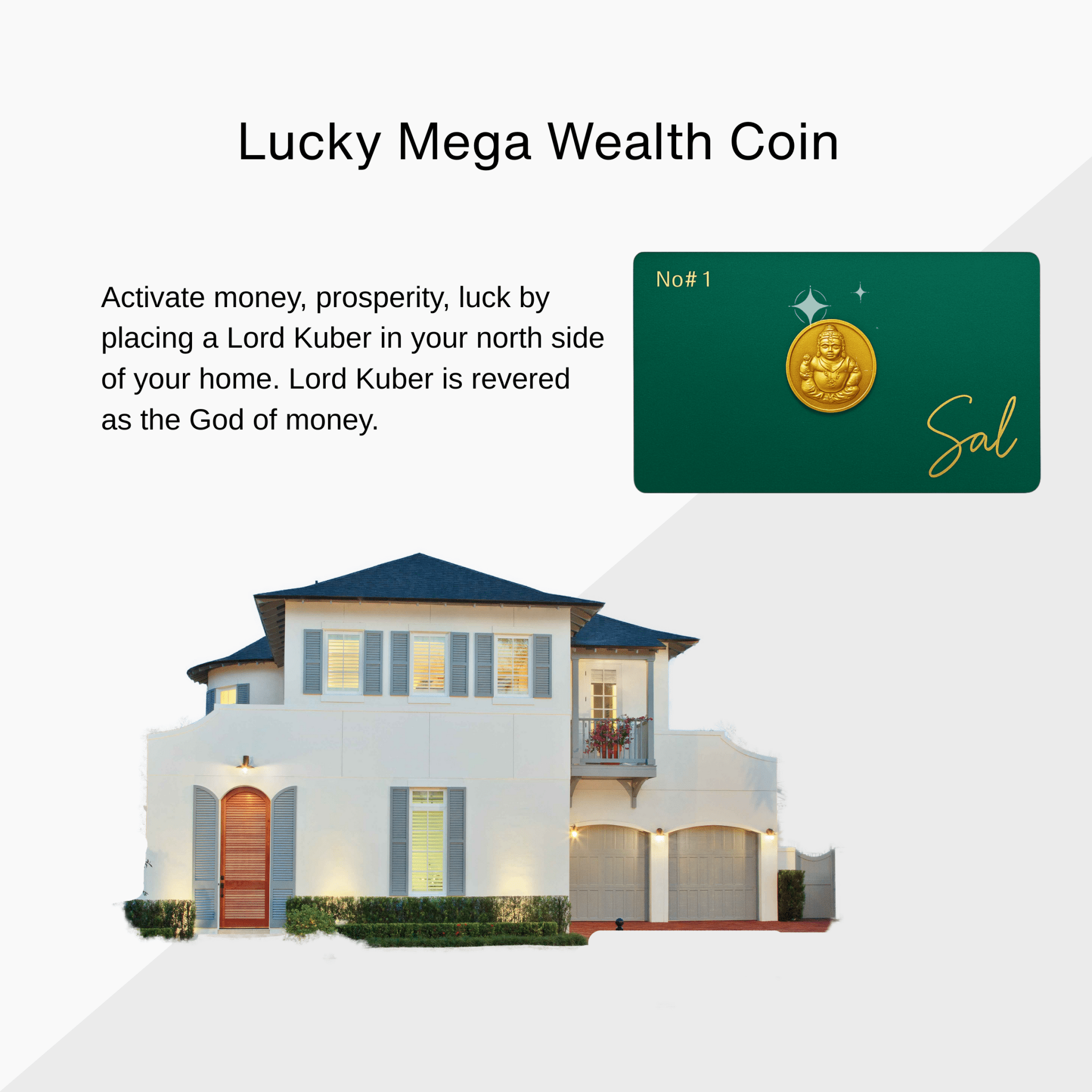 Limited Edition Lucky Lord Kuber Golden Coin Kit – Signed and Sealed By Sal - Eat.Read.Love.