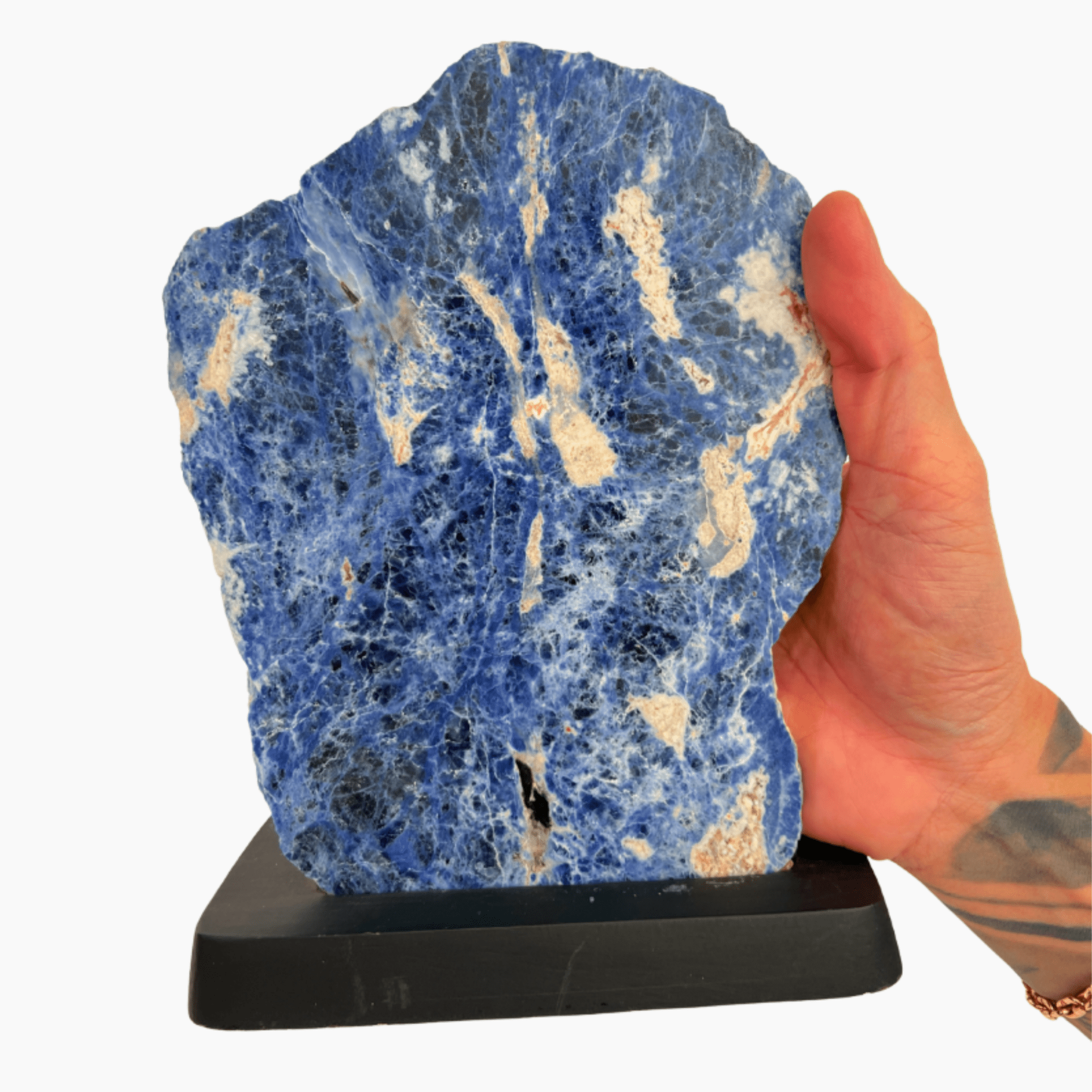 Polished Sodalite Crystal on Stand - Eat.Read.Love.