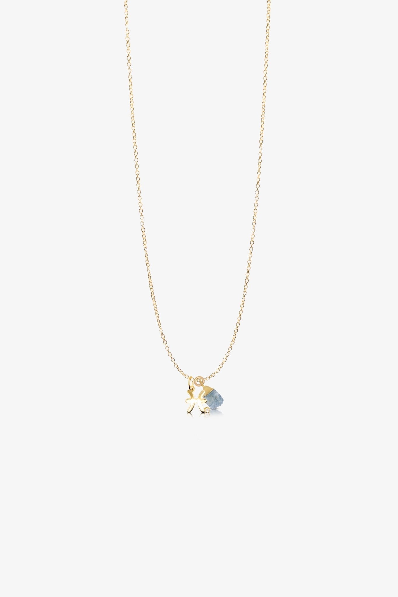 The Pisces' Angelic Aquamarine Birthstone With 14k Gold Necklace - Eat.Read.Love.