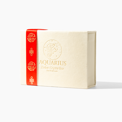 Aquarius 2026 Zodiac Fortune Kit