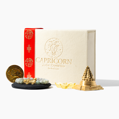 Capricorn 2026 Zodiac Fortune Kit
