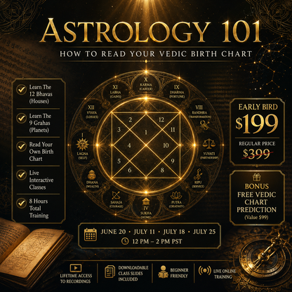  'Astrology 101' with a Vedic birth chart 