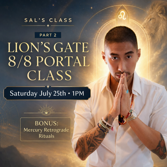 Sal's Live Lions Gate Portal Class Pt 2