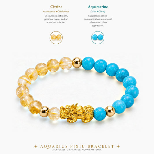 Aquarius Zodiac Feng Shui Pixiu Bracelet