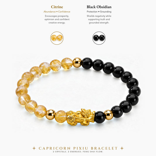 Capricorn Zodiac Feng Shui Pixiu Bracelet