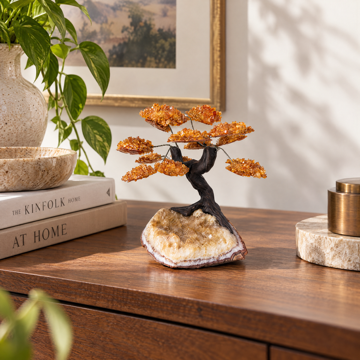 ERL Studio lifestyle — Citrine Money Tree · 0a0f1d7f-75c7-443e-a7a5-ca264c3d4529