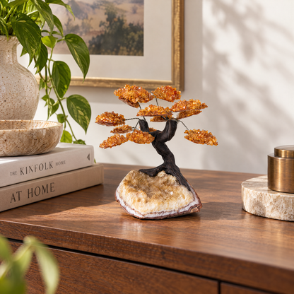 ERL Studio lifestyle — Citrine Money Tree · 0a0f1d7f-75c7-443e-a7a5-ca264c3d4529