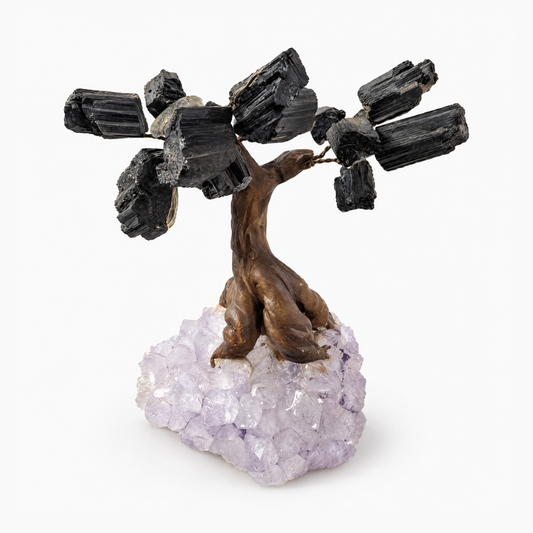 ERL Studio hero — Black Tourmaline Crystal Tree on Amethyst Druzy Base · b491708e-8920-42a0-86e1-525bce621ced