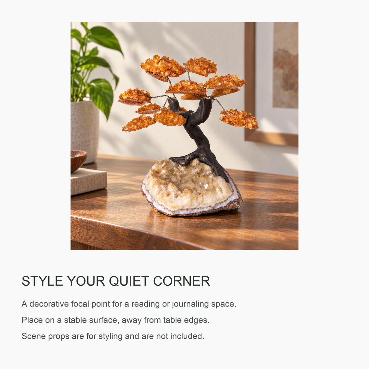 ERL Studio in use — Citrine Money Tree · d16283ba-a9fb-40c1-b7ac-c04b6a7bf2f0