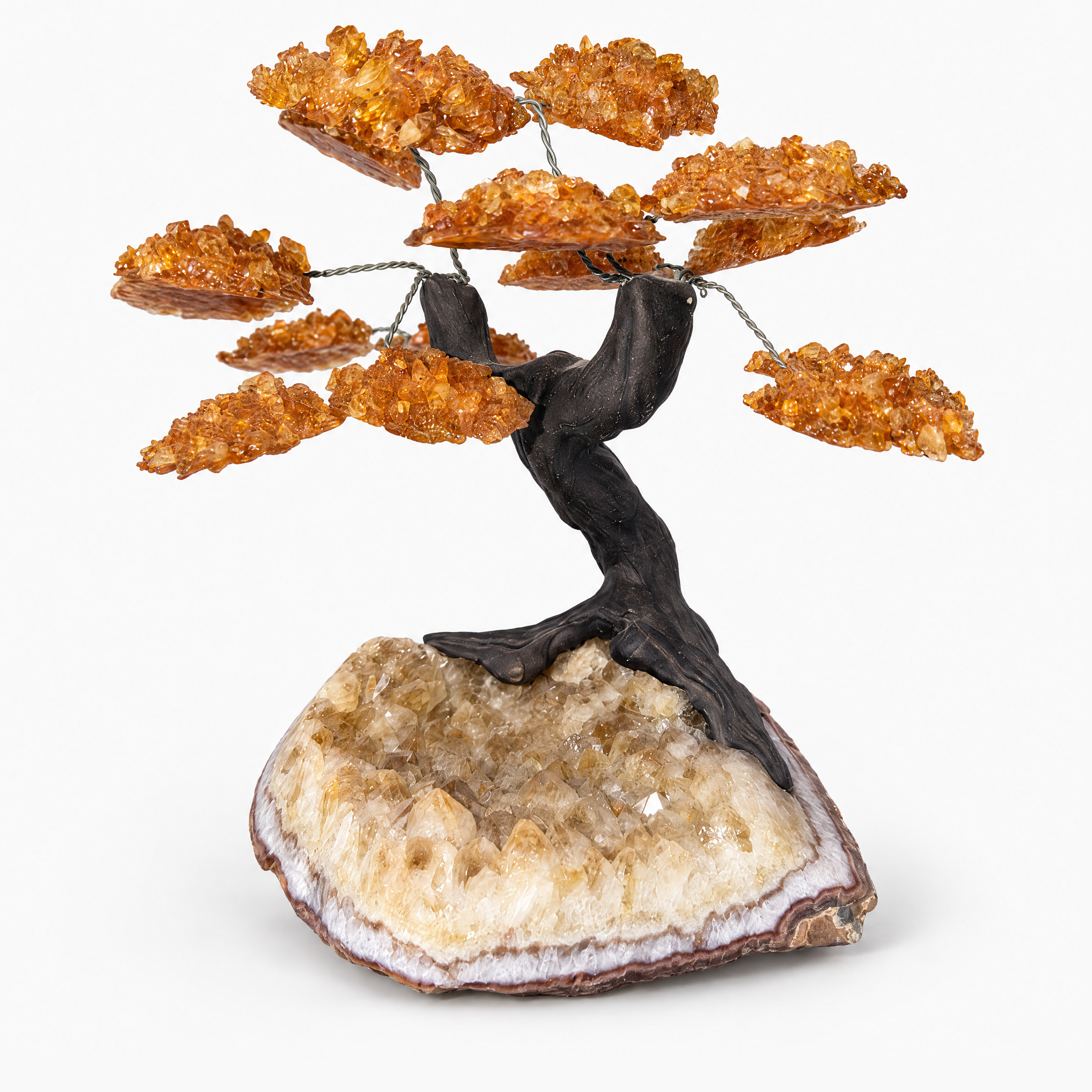 ERL Studio hero — Citrine Money Tree · ee4a2e6f-7aac-42ad-a47b-3dc2d78c8ca0
