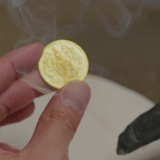 Ganesh and Lakshmi Fortune Eclipse Coin Energized By Sal